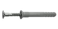 Nail plug with countersunk screw
