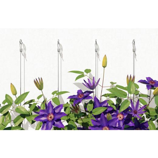 fischer Occhiolo GS 8 x 80 | - 20 Stück