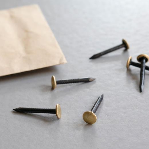 TOX Bildernagel Home Classic mit Messingkopf 2,0 x 25 mm | 20 Stück