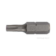 Bit P829159 1/4 Zoll T 6 | Länge 25 mm | TECWERK | 10 Stück