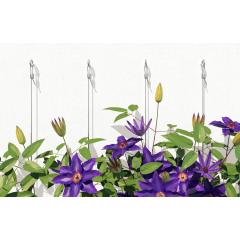 fischer Tassello S 14 H 135 R | - 50 Stück